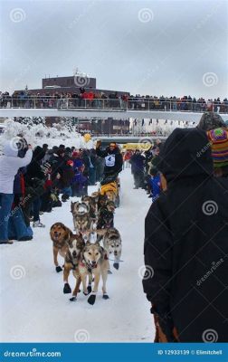 Yukon Quest!  Een epische reis door de wildernis met een cast vol geliefde acteurs.